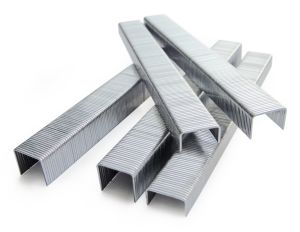 71/08mm Galvanised Upholstery Staples (20,000) 